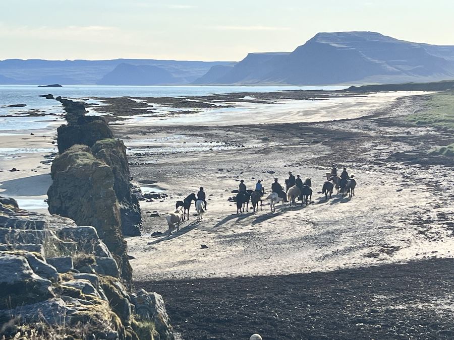 Horse riding on the beach