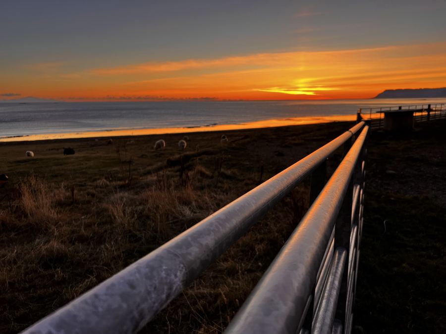 Sunset by the fence